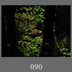 090_251018_06b_Edt1.html