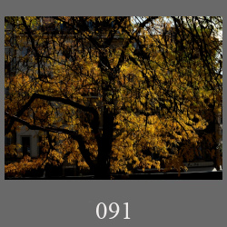 091_251016_04b_Edt4.html