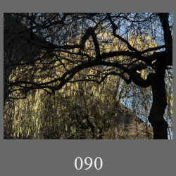 090_260226_07b_Edt0.html